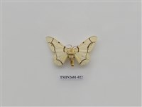 藏品(尺蛾225)的圖片